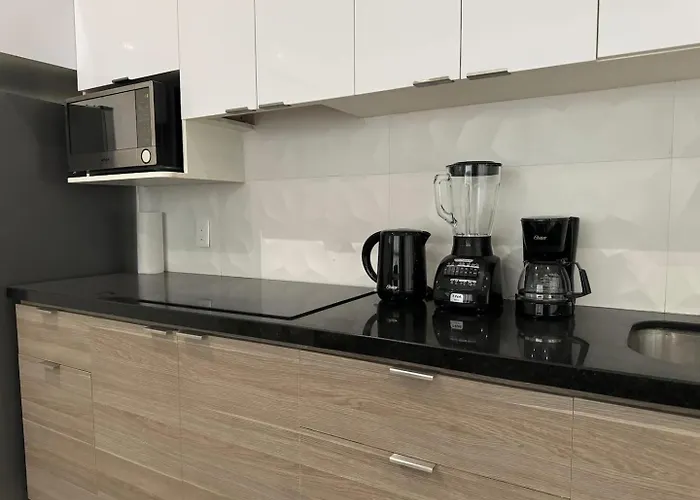 Chic Stay, Rooftop Plunge Pool, 4 Blocks From 5th Holiday home *